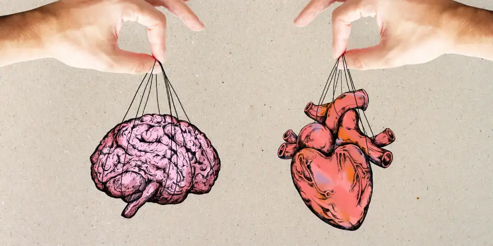 brain and heart balance