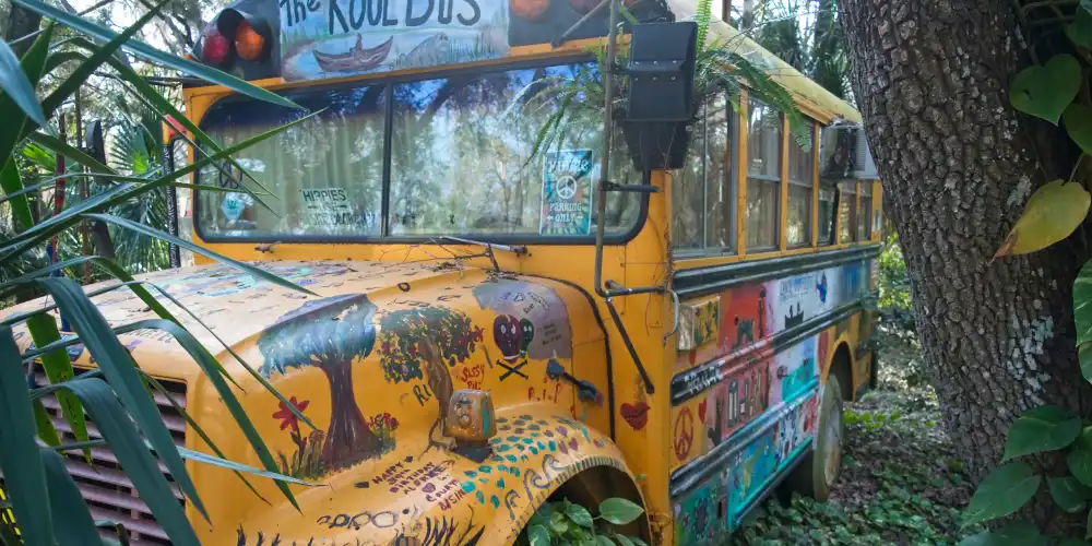 school bus in the forest
